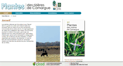 Desktop Screenshot of plantes-rizieres-camargue.cirad.fr