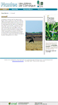 Mobile Screenshot of plantes-rizieres-camargue.cirad.fr