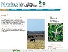 Tablet Screenshot of plantes-rizieres-camargue.cirad.fr